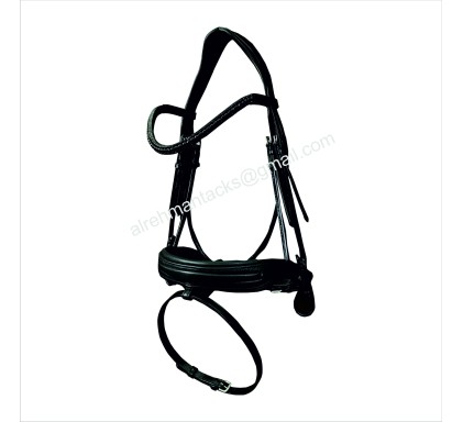 Leather Bridle 